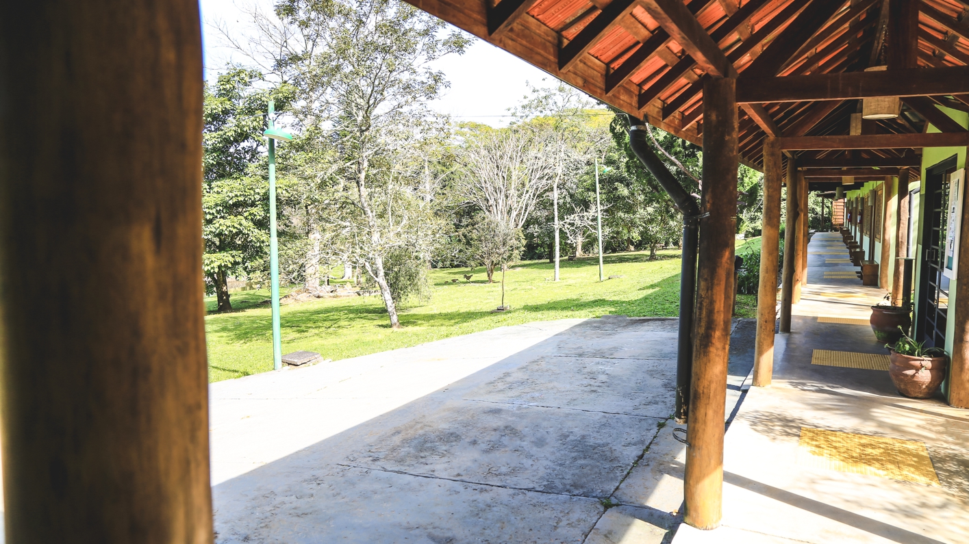 Caminho das Araucárias