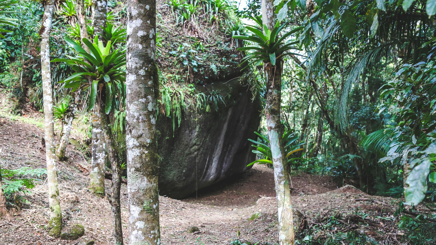 Cachoeira Próxima